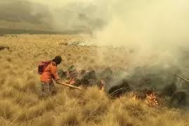 Nama spbu agung selorejo : Spbu Di Selorejo Blitar Terbakar Antara News Jawa Timur