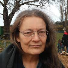 Hummingbird visit after pet loss