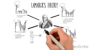 theory of evolution darwin lamarck