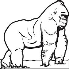 Supplyme Online Teacher Supply Store Formerly Mpm School Supplies Animal Coloring Pages Coloring Pages Super Coloring Pages