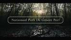 Nationaal Park De Groote Peel Ospel #nature #sonyfx3 ... - YouTube