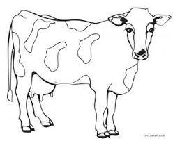 Maybe you would like to learn more about one of these? Free Printable Cow Coloring Pages For Kids Cool2bkids Cow Coloring Pages Cow Coloring Page Cow Coloring Pages For Kids