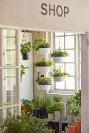Bittergurka Ampel Weiss Ikea Deutschland Landschaftsbau Fur Kleinen Hinterhof Ikea Pflanzen Garten Landschaftsbau