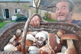 Tout le monde a sa chance pour la cueillette des champignons autour de toulouse ! Cueillette Des Champignons Ou Quand Et Comment Trouver Les Cepes En Bretagne L Echo De L Argoat