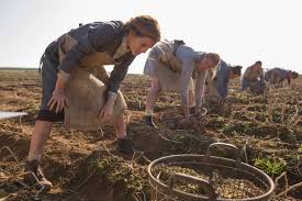 Five colonias within each county are identified to receive concentrated attention. Colonia Movie True Story History Of Colonia Dignidad Before Emma Watson Film Premieres
