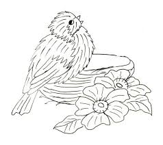 Book Outlines Birds Fabric Pack Fabric Birds Bird Embroidery Pattern Embroidery Book