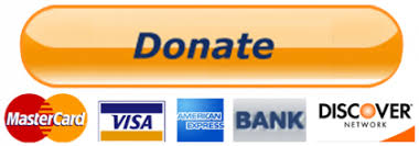 PayPal-Donate-Button-PNG-Transparent-Image-420x147 - Wake ...