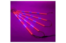 We did not find results for: 15 Best Full Spectrum Led Grow Lights 2019 Heavy Com