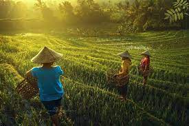 Interview Cinematic Photos Of Rural Indonesia Look Like Scenes From A Film Cinematic Photography Online Photography Course Photo