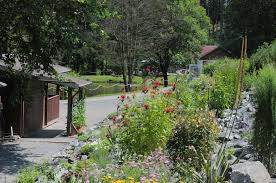 Aus wikipedia, der freien enzyklopädie. Botanischer Garten Adorf Wikipedia