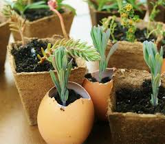 You can make your compost by composting basic items around your home and yard. How To Reuse Potting Soil Safely Dengarden