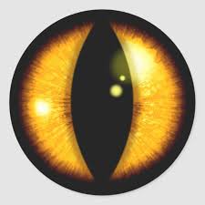 Amber Dragons Eye Classic Round Sticker Zazzle Com Dragon Eye Lizard Eye Eye Texture