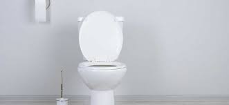 mon wc refoule comment reagir