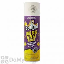 Getting rid of bed bugs with bed bug killer spray. Bengal Bed Bug And Flea Killer Spray