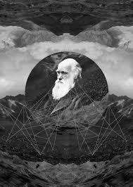 Pin By Branca Fowler Crow On Evolution Artwork Art Design Illustrations Posters