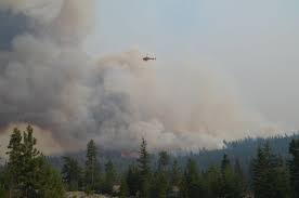 Whatever's happening along the forest supply chain, from planting to felling to final use, we're watching it, regionally, nationally, internationally. Bc Wildfire Service On Twitter The Bcwildfire Service Continues To Respond To The Tremont Creek K21849 Wildfire Located Approximately 8 5 Km Southeast Of Ashcroft The Fire Is Still Classified As Out Of