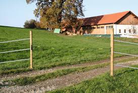 Homes or areas that have electric gate fences are automatically safer and protect the inhabitants from theft and burglary. Electric Fence Gate Electro Gate Gate Systems Electric Gate Ki Albert Kerbl Gmbh