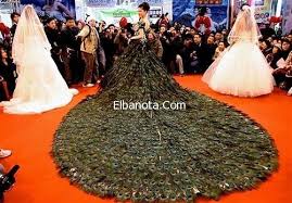 صور فستان زفاف الطاووس بـ 1 5 مليون دولار فساتين زفاف أزياء بنوته بنوته كافيه Wedding Day Dresses Detachable Wedding Dress Unique Wedding Gowns