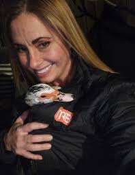 What's the current temperature in your city?