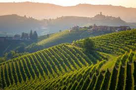 We look at the best italian wine regions and vineyards. 10 Most Famous Italian Wines Wanted In Rome