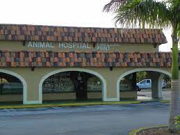 At pets first animal hospitals, we strive to make sure you and your family pet feel safe, warm and loved. Animal Hospital Of Pinellas Point St Petersburg Fl Veterinarian Animal Hospital Hospital Petersburg