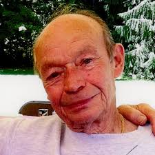 Contributions to the tribute of Raymond Alfred Gronemann