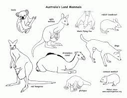 Dogs love to chew on bones, run and fetch balls, and find more time to play! Desert Animals Coloring Pages Coloring Home