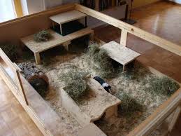 Schweinchengehege Meerschweinchen Meerschweinchenstall Meerschweinchen Haus