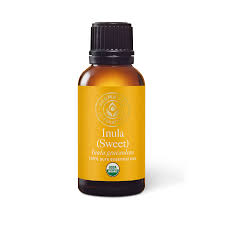 Image result for Inula