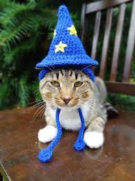 Iheartneedlework Pet Costumes Crochet Cat Hat Crochet Cat