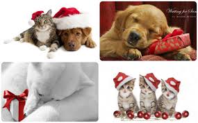 Here you can find the best christmas pc wallpapers uploaded by our. Christmas Wallpaper Download Freeware De