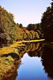 Fall Colours Marlborough Massachusetts Fall Colors Marlborough Colours