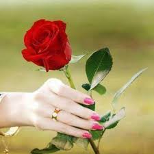 Jun 18, 2021 · 12. Mawar Berduri 68mawar Twitter