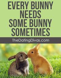 Explore our collection of motivational and famous quotes by authors you know and rabbits quotes. Every Bunny Needs Some Bunny Sometimes Best Love Quotes Love Quotes The Dating Divas