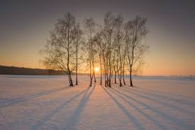 Una dintre rezervațiile mai puțin cunoscute dar care a fost protagonista filmului de oscar cold mountain este cea de la reci, județul covasna. MestecÄƒniÈ™ul De La Reci