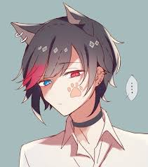 V Gracias Esa Huella Catwallpaper Anime Cat Boy Wolf Boy Anime Anime