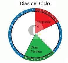 Los Ciclos Menstruales Irregulares Inser