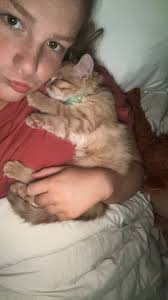 Should You Get A Cat in College