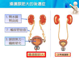 廖叔叔健康屋