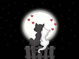 Risultati immagini per amore mio