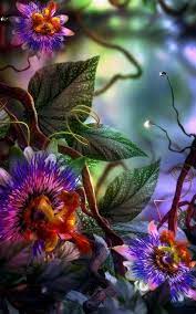 Using live wallpapers in android can certainly be a fun,. Free Download Spring Hd Wallpapers For Android 2020 In 2021 Mobile Wallpaper Android Flower Background Wallpaper Best Flower Wallpaper