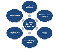 Pvt Ltd Company: Things You Must Know - Corpbiz