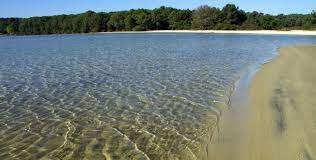 Deuxième lac d'eau douce de france, le lac de cazaux est autant apprécié pour sa tranquillité que attention cependant, le site du lac de cazaux est en partie occupé par une zone d'exclusion militaire. Lac De Cazaux La Test De Buch Bouger Famille