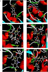 Image result for Striga baumannii