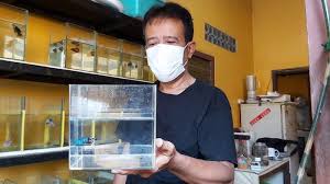 We did not find results for: Https Banyumas Tribunnews Com 2021 06 05 Mural Gubuk Perkebunan Warga Di Tawangmangu Karanganyar Digarap Komunitas Senyum Manis Https Cdn 2 Tstatic Net Banyumas Foto Bank Images Mural Perkebunan Karanganyar 2 Jpg Ardan Bersama