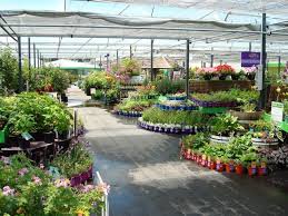 palmers miramar palmers garden centre www palmers co nz palmers garden centre garden center garden