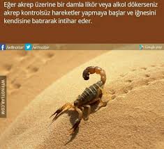 Akrep Burclari Ona Gore Bilim Doga Biliyor Muydunuz Bilgi