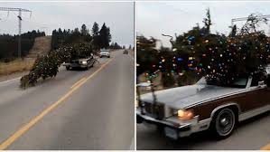 Check spelling or type a new query. Oversized Christmas Tree On Top Of Car Caught On Camera Daily Mail Online