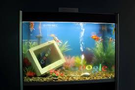 Google Fish Tank Complete With A Monitor Fish Tank Fish Tank Design Aquarium Fish Tank