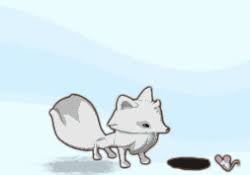 Arctic fox animal jam coloring page print coloring page download pdf tags: Polar Arctic Fox Animal Jam Classic Wiki Fandom